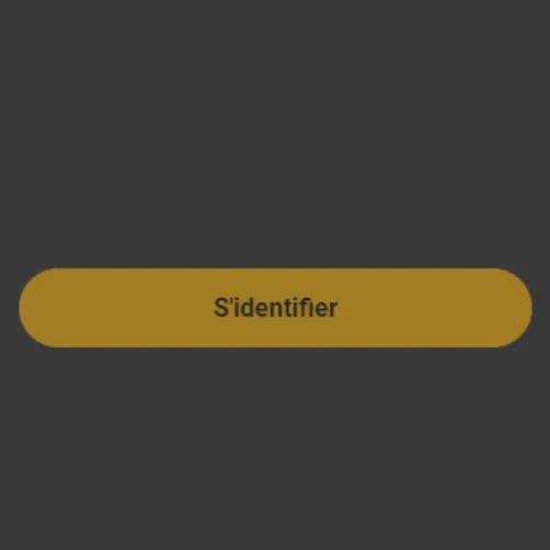 Cliquez sur le bouton de connexion